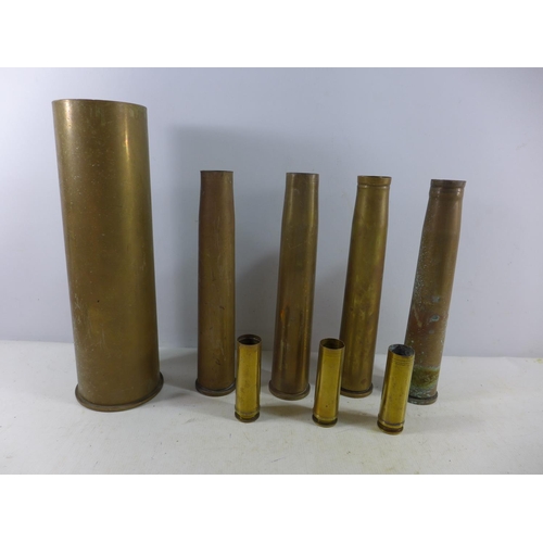 364 - A COLLECTION OF EIGHT FIRED BRASS SHELL CASES, HEIGHT RANGE FROM 11 TO 38.5CM