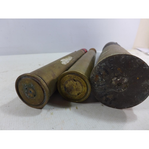 366 - THREE INERT SHELLS, HEIGHT 35CM