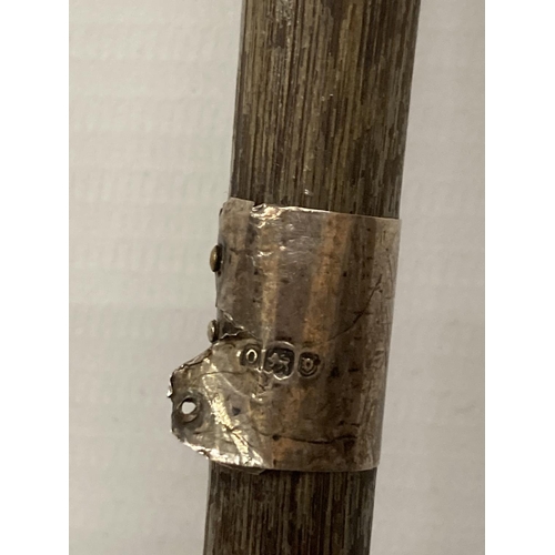 33A - A WOODEN WALKING CANE WITH A HALLMARKED SILVER FINIAL