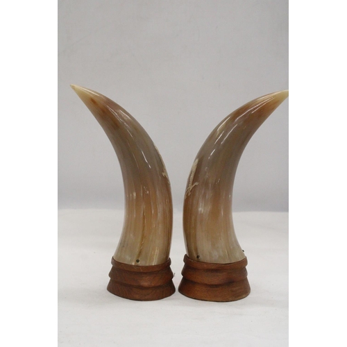 296 - A PAIR OF REAL ORIENTAL HORNS ON WOOD BASES WITH DRAGON DESIGN, HEIGHT 23CM