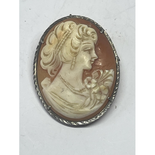 594 - A 925 SILVER CAMEO PENDANT