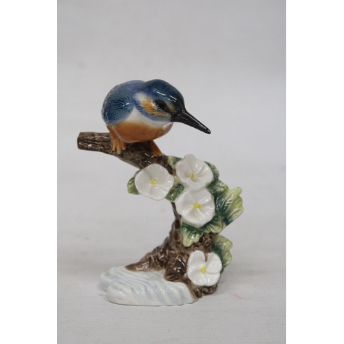 717 - A BESWICK MODEL OF A KINGFISHER ON A BRANCH IN A GLOSS FINISH