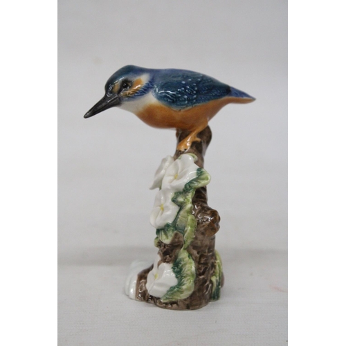 717 - A BESWICK MODEL OF A KINGFISHER ON A BRANCH IN A GLOSS FINISH