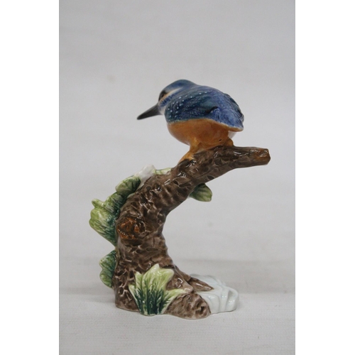 717 - A BESWICK MODEL OF A KINGFISHER ON A BRANCH IN A GLOSS FINISH