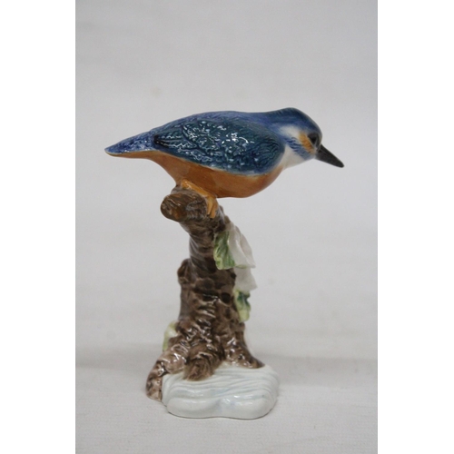 717 - A BESWICK MODEL OF A KINGFISHER ON A BRANCH IN A GLOSS FINISH