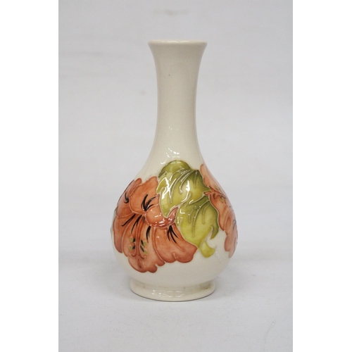 730 - A MOORCROFT HIBISCUS ON CREAM VASE