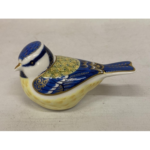 807 - A ROYAL CROWN DERBY PAPERWEIGHT GARDEN BLUE TIT WITH GOLD COLOURED STOPPER