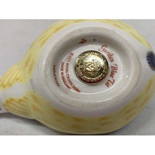 807 - A ROYAL CROWN DERBY PAPERWEIGHT GARDEN BLUE TIT WITH GOLD COLOURED STOPPER