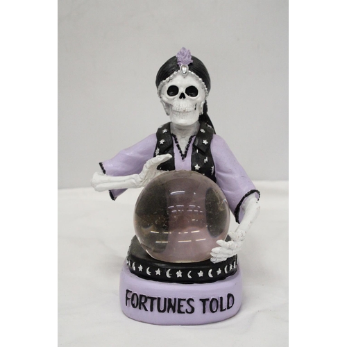 893 - A MADAME SKULL FORTUNE TELLER AND CRYSTAL BALL