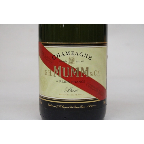 313 - A BOTTLE OF 75CL G.H. MUMM & CO CHAMPAGNE