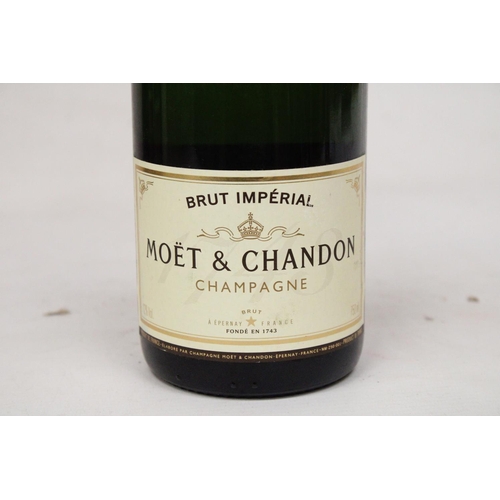 342 - A750 ML BOTTLE OF MOET & CHANDON CHAMPAGNE