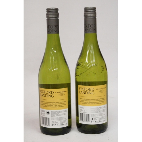 353 - THREE BOTTLES OF WHITE WINE TO INCLUDE TWO OXFORD LANDING CHARDONNAY (SOUTH AUSTRALIA), CHENIN BLANC... 