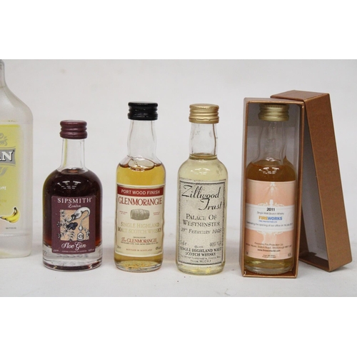 370 - A MIXED LOT OF MINIATURES TO INCLUDE A 2011 MALT SCOTCH WHISKY, TWO CRUZAN 200ML RUMS, 5CL SLOE GIN,... 