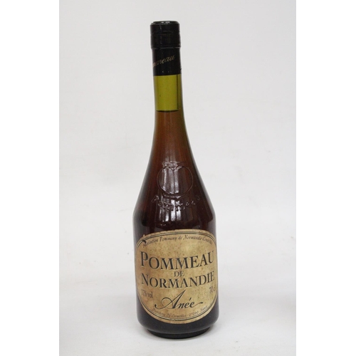 388 - A MIXED LOT TO INCLUDE A 70 CL VINTAGE BOTTLE OF POMMEAU DE NORMANDIE, CHATEAU DE MALLE SAUTERNES 19... 