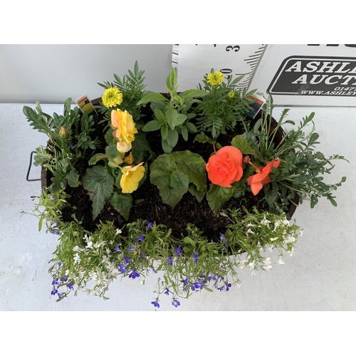 25 - ONE WOODEN TROUGH WITH METAL CARRY HANDLES FILLED WITH BASKET PLANTS IN FLOWER TO INCLUDE MARIGOLD S... 