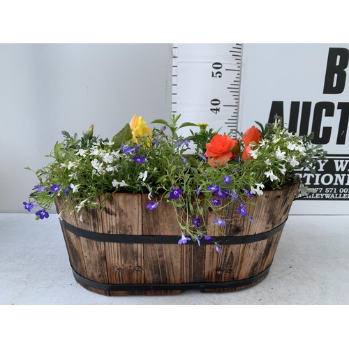 25 - ONE WOODEN TROUGH WITH METAL CARRY HANDLES FILLED WITH BASKET PLANTS IN FLOWER TO INCLUDE MARIGOLD S... 