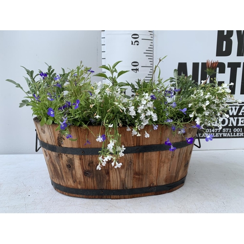 26 - ONE WOODEN TROUGH WITH METAL CARRY HANDLES FILLED WITH BASKET PLANTS IN FLOWER TO INCLUDE GAZANIA, M... 