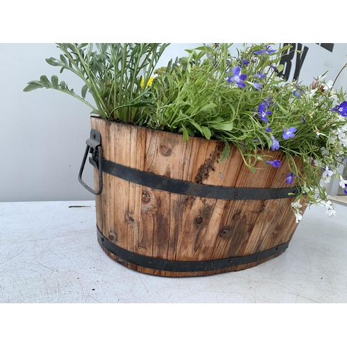 26 - ONE WOODEN TROUGH WITH METAL CARRY HANDLES FILLED WITH BASKET PLANTS IN FLOWER TO INCLUDE GAZANIA, M... 