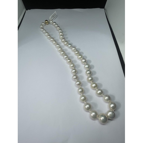 513 - A WHITE EDISON PEARL NECKLACE WITH 9 CARAT GOLD CLASP LENGTH 52CM