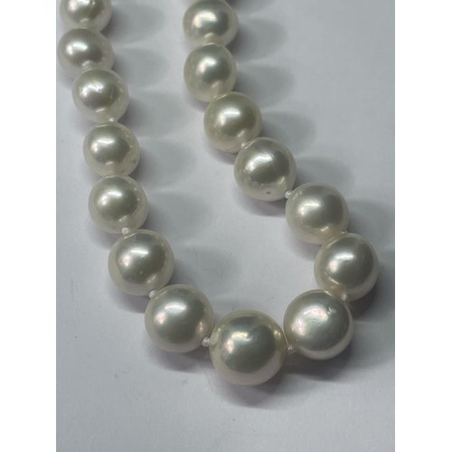 513 - A WHITE EDISON PEARL NECKLACE WITH 9 CARAT GOLD CLASP LENGTH 52CM