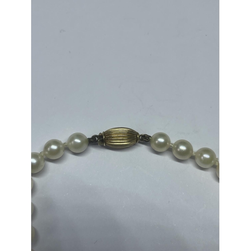 543 - A STRING OF PEARLS WITH A MARKED 375 9 CARAT GOLD CLASP