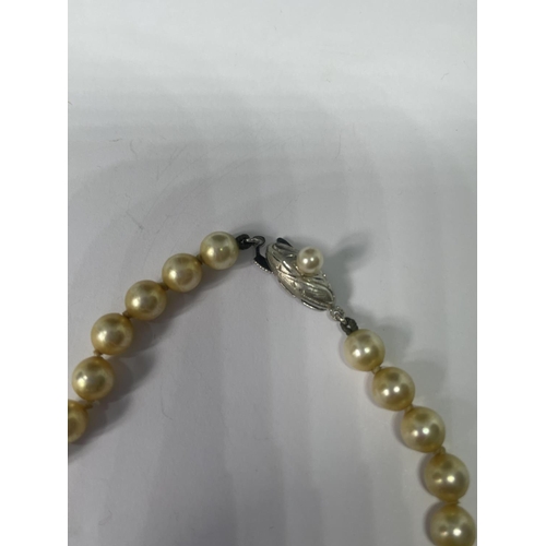 550 - A STRING OF PEARLS WITH A MARKED SILVER CLASP