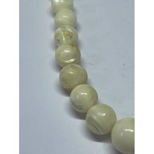 558 - A NATURAL MOTHER OF PEARL GRADUATED NECKLACE