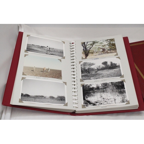 251 - TWO ALBUMS OF VINTAGE PHOTOGRAGHS TO INCLUDE AFICA, ROME KENT ETC