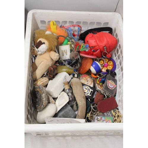 289 - A LARGE COLLECTION OF VINTAGE NOVELTY KEY RINGS AND FRIDGE MAGNETS, PLUS SOME  ROCKS AND CRYSTALS