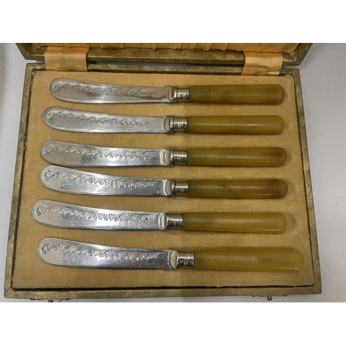 22 - A SET OF SIX AMBER HANDLED KNIVES IN A PRESENTATION BOX
