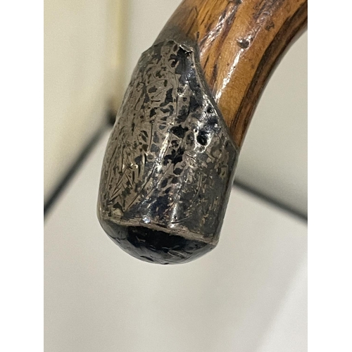 26 - A WALKING CANE WITH A HALLMARKED SILVER COLLAR AND FINIAL