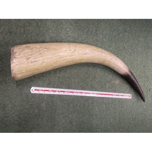 39 - A LARGE RESIN REPLICA OF A COW HORN