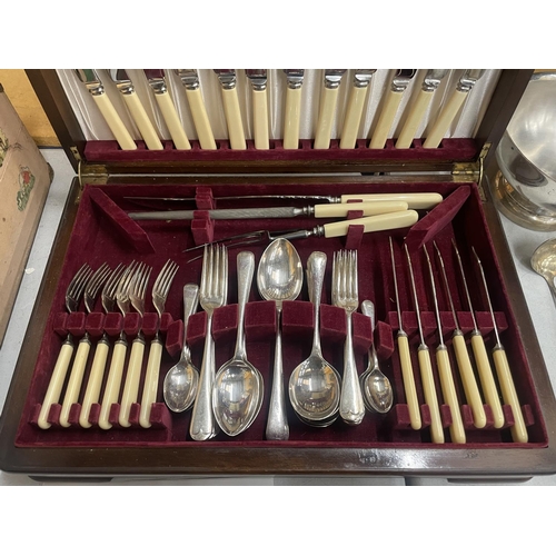 41 - A COLLINGWOOD WOODEN CASED CANTEEN OF CUTLERY TO INCLUDE A CARVING SET AND FISH KNIVES AND FORKS