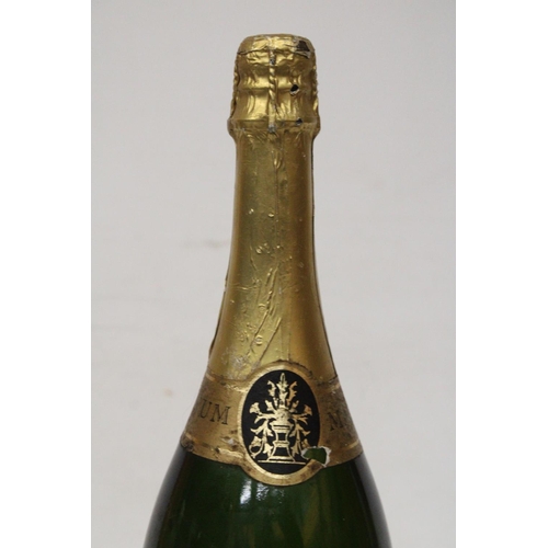 318 - A MILLENIUM MAGNUM OF SPECIAL CUVEE BOLLINGER