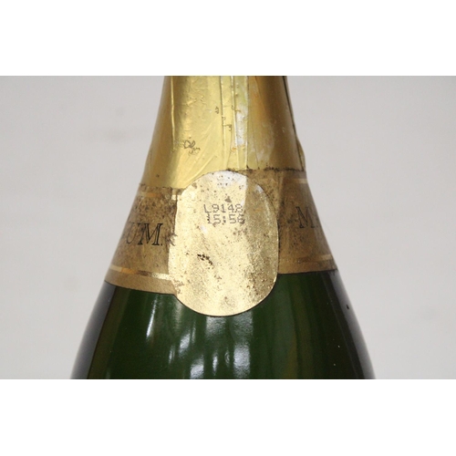 318 - A MILLENIUM MAGNUM OF SPECIAL CUVEE BOLLINGER