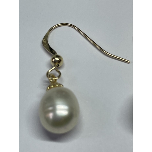 509 - A PAIR OF MARKED 14K EARRINGS WITH FRESHWATER PEARLS