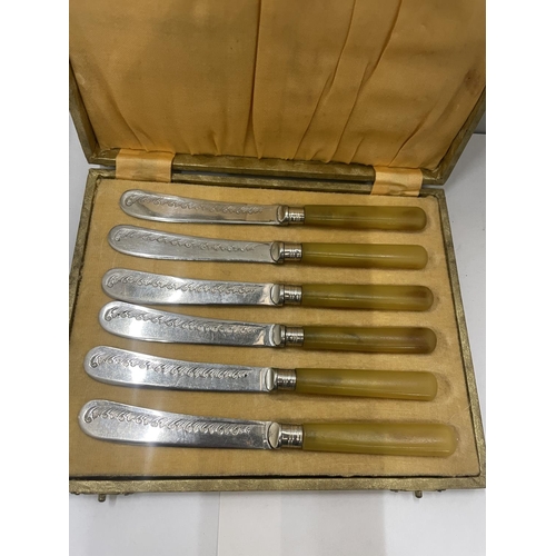 22 - A SET OF SIX AMBER HANDLED KNIVES IN A PRESENTATION BOX