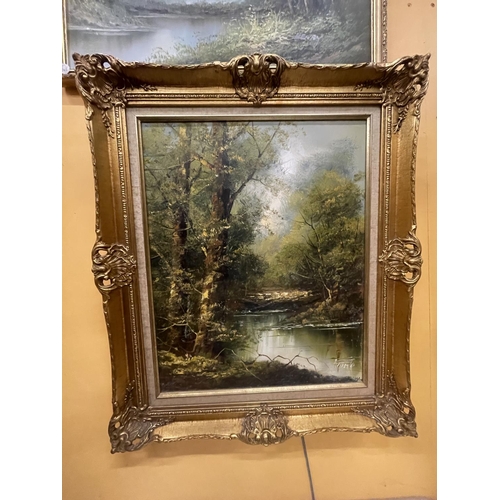 49 - A GILT FRAMED OIL ON CANVAS OF A WOODLAND RIVER SCENE SIGNED TO LOWER RIGHT HAND CORNER 50CM X 40CM