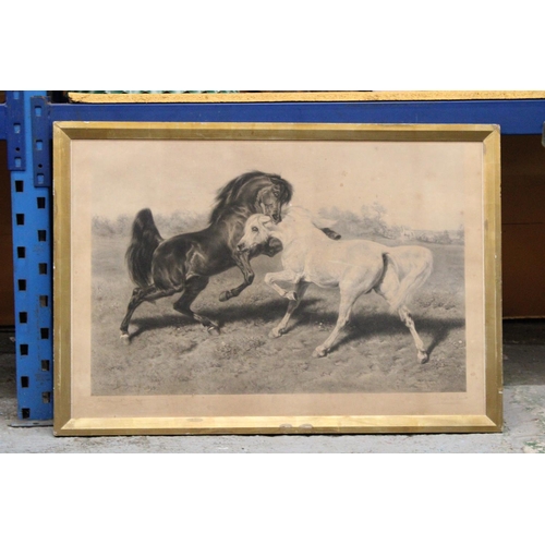 278 - A LARGE PRINT OF TWO FIGHTING HORSES, 100CM X 70CM