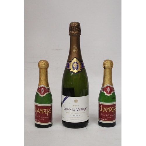 347 - A BOTTLE OF FRENCH BRUT CELEBRITY VINTAGES BLANC DE BLANCS TOGETHER WITH TWO 20 CL BOTTLES OF CHAMPE... 