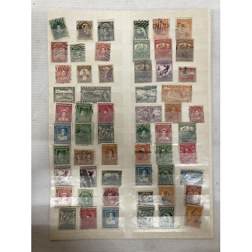 470 - ONE PAGE OF NEWFOUNDLAND STAMPS