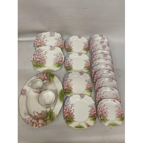 27 - A LARGE QUANTITY OF VINTAGE ROYAL ALBERT BLOSSOM TIME TO INCLUDE SUGAR BOWL AND CREAMER, CAKE/BREAD ... 