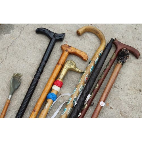 1988 - AN ASSORTMENT OF VARIOUS WALKING STICKS TO INCLUDE ONE WITH A BRASS DUCK HEAD HANDLE ETC