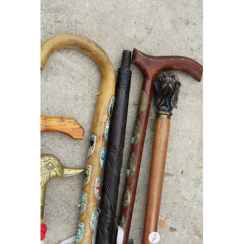 1988 - AN ASSORTMENT OF VARIOUS WALKING STICKS TO INCLUDE ONE WITH A BRASS DUCK HEAD HANDLE ETC