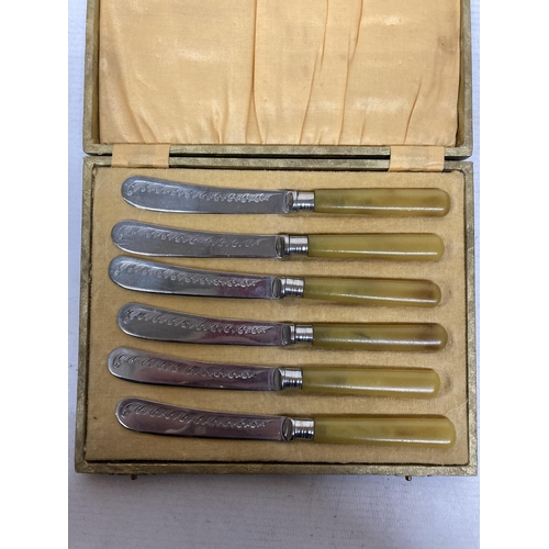 54 - A SET OF SIX AMBER HANDLED KNIVES IN A PRESENTATION BOX