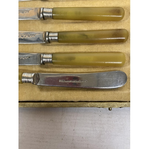 54 - A SET OF SIX AMBER HANDLED KNIVES IN A PRESENTATION BOX