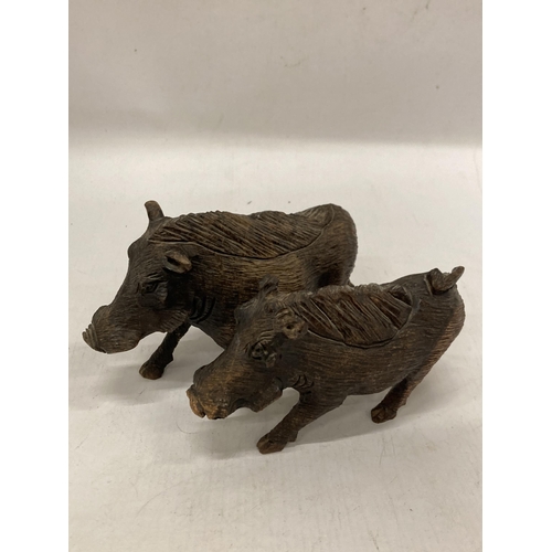 1072 - TWO CARVED WOODEN WART HOGS