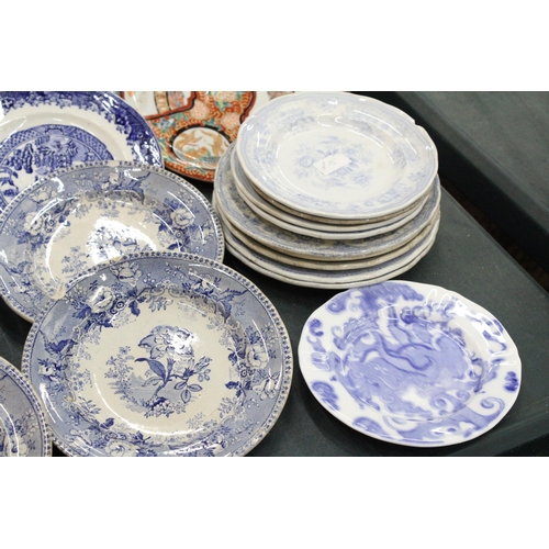 252 - A COLLECTION OF VINTAGE PLATES TO INCLUDE WILLOW PATTERN, 'BOTANICAL BEAUTIES', A QUEEN VICTORIA PLA... 