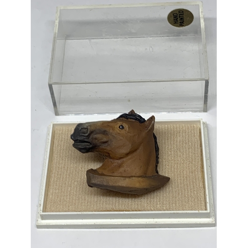 571 - A HAND PAINTED HORSES HEAD BROOCHIN A PRESENTATION CASE