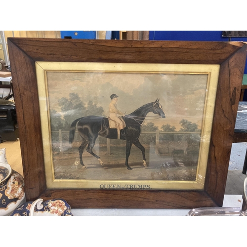 68 - A VINTAGE FRAMED PRINT OF A RACEHORSE, 'THE QUEEN OF TRUMPS'